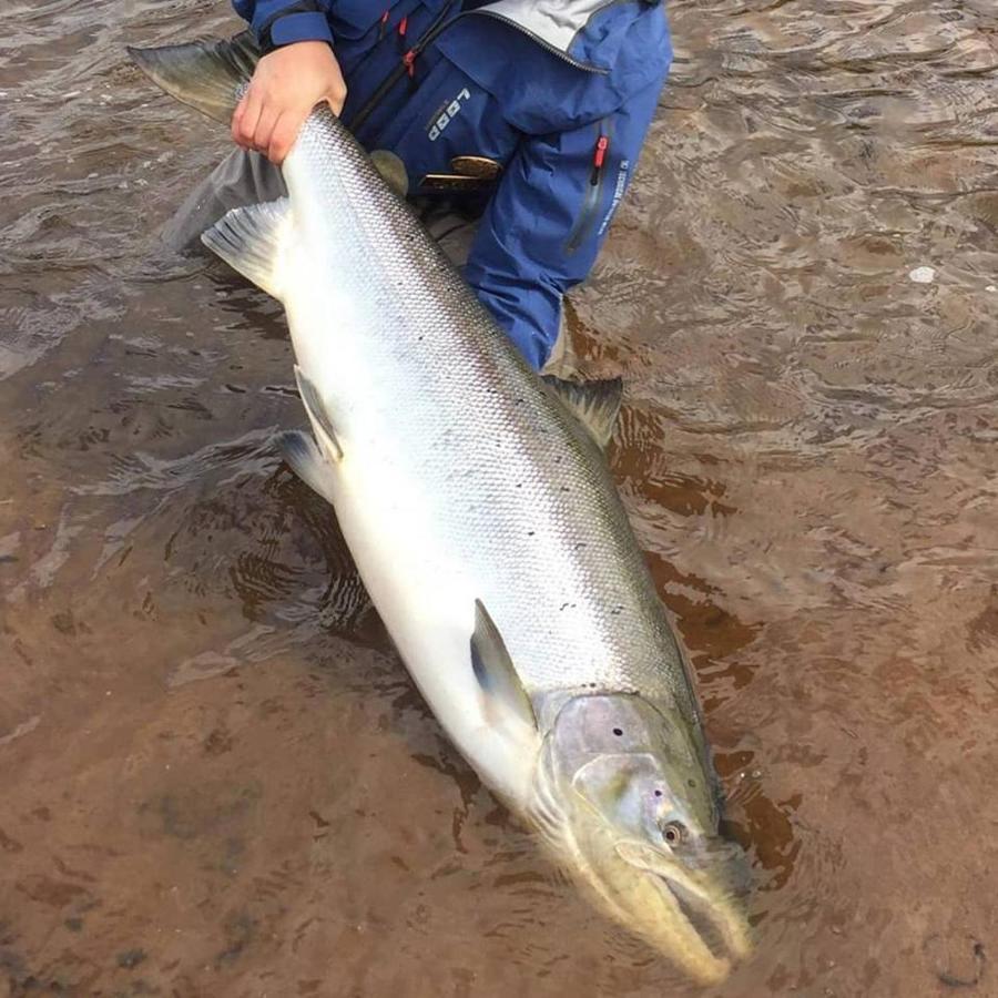 Jockfall Fishing And Activities - Oeverkalix מראה חיצוני תמונה